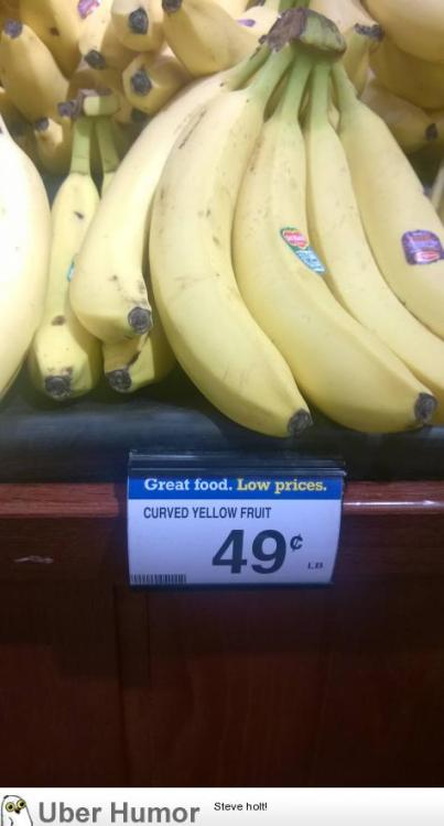 omg-pictures:  If only there were a better name….http://omg-pictures.tumblr.com