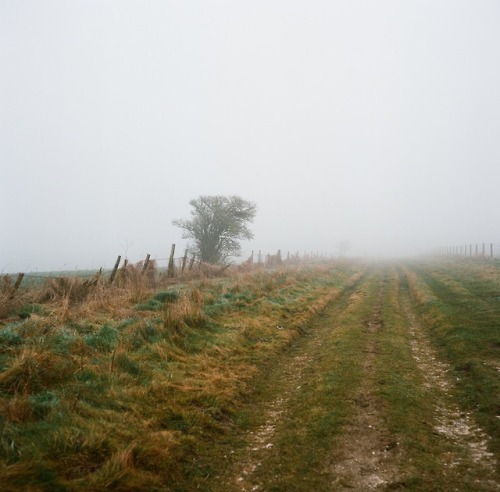 alifeingrain:Avebury, Wiltshire - February 2019Rolleicord Vb on Kodak Ektar 100