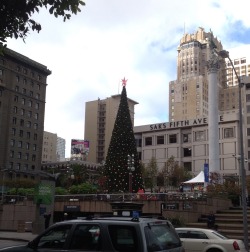 Found myself in San Fancisco last week for work so took the oppertunity to take some pictures. The first one is the Tree in Union Square and the second is two cute puppies in Macy&rsquo;s for the SF SPCA Holiday Windows