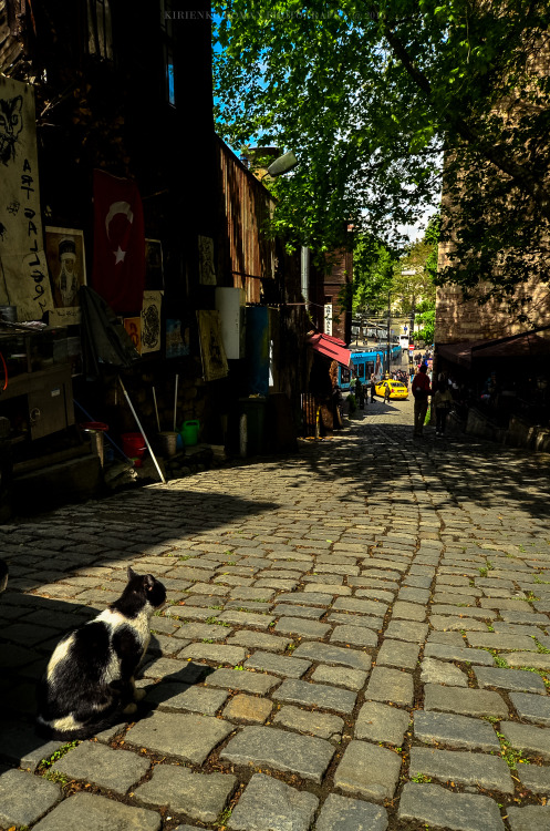 Istanbul, Turkey #12Goodbye, Istanbul !! See you next timephoto by Kirienko Roman(romanophoto.tumblr