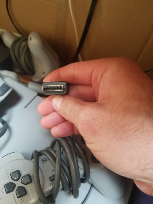 storm-driver: sylphwhisperer:  secretsaresilly:   an0nymz:   secretsaresilly:  dailytweets:  @an0nymz In response to your tags, this was a cord used to hook up a PlayStation or PlayStation 2, with RCA heads on one end, and that rectangular head on the