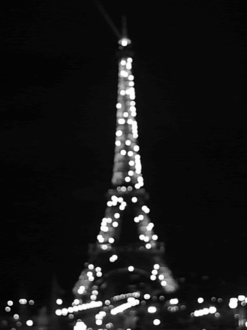 everythingyoulovetoohate:  Paris tonight bitches!!! 