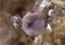 underthescopemineral:   Fluorite, Quartz