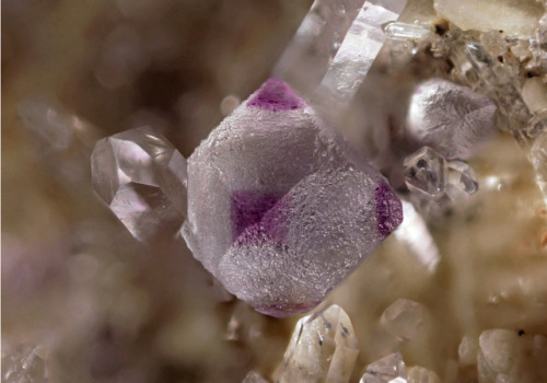 underthescopemineral:   Fluorite, Quartz CaF2, SiO2Locality:Old Mine Plaza construction site, Long Hill, Trumbull, Fairfield Co., Connecticut, USA 2mm Fluorite. David Busha specimen and photo. 