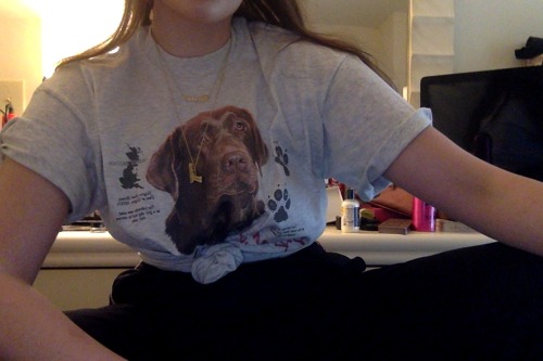 boredbarbara:  Alphet