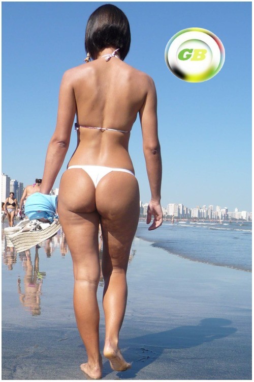 AS GATAS DO BRASIL