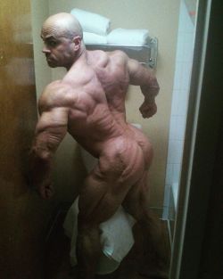 roidedandropig:Shredded