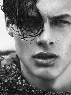 miumiugardens:darwin gray