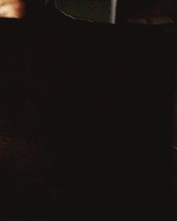 :  Damon Salvatore | “Christmas Through Your Eyes” 