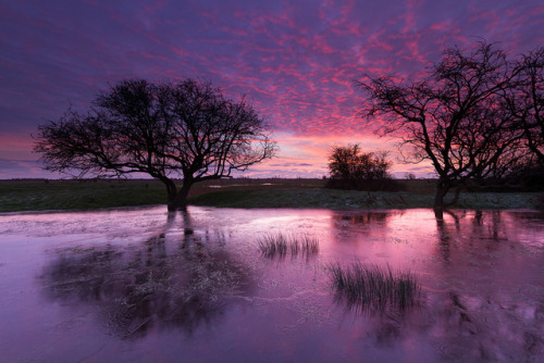 sky-sylph:   	Phil Carpenter 	  	 						 			     