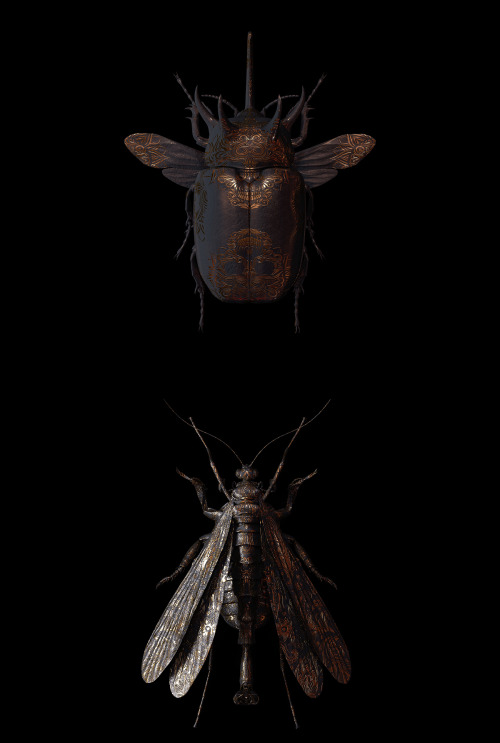irakalan:   ENGRAVED ENTOMOLOGYArt Director and Creative 3D Designer BILLY BOGIATZOGLOU   [ previously here: GOLDEN SKULLS ] 