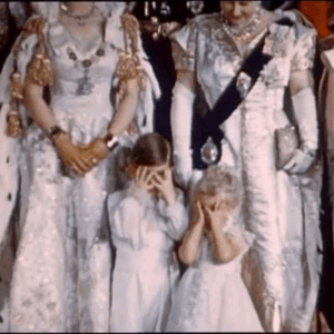 342dad09c52a34e83f219d36966001daae56fe2c.gif