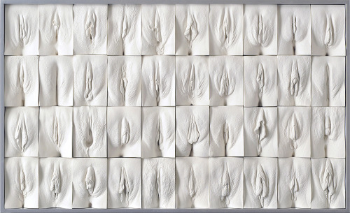 rikkisixx: The Great Wall of Vagina - Jamie McCartney (x)Jamie made molds of the vaginas of women between 18 and 76 years. Among others, they include twins and transgender women. Women are often confused about their vagina, because they think it looks