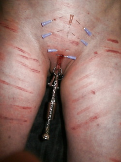 BDSM, needle play etc., pierced pussy with