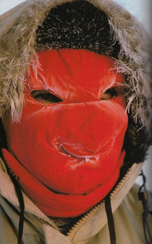cult-figure: