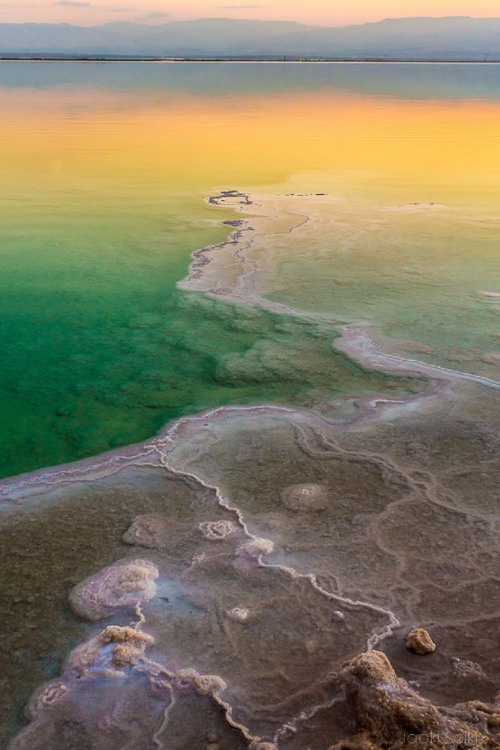sublim-ature:Dead Sea, IsraelJacki Soikis