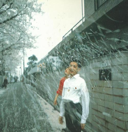 raveneuse:Nan GoldinHonda brothers in cherry blossom storm, Tokyo, Japan, 1994.