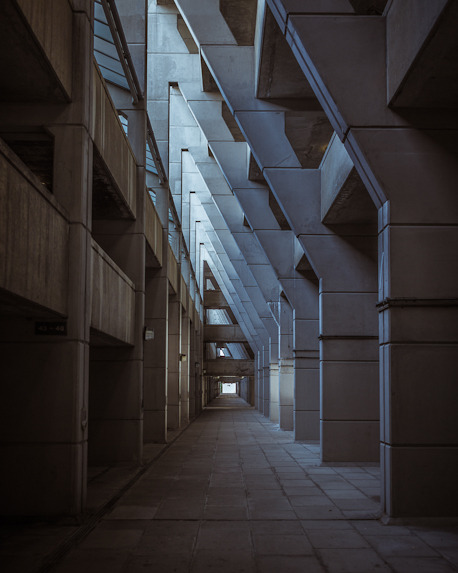 shelby-silvernell-observations:  Levingston 