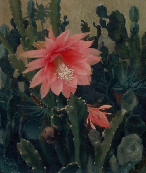 art-and-things-of-beauty:Jan Voerman jr. (1890-1976) - Epiphyllum, oil on panel, 40 x 34 cm. 1920.