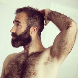 Hrryhardon:  Hrryhardon Archive 