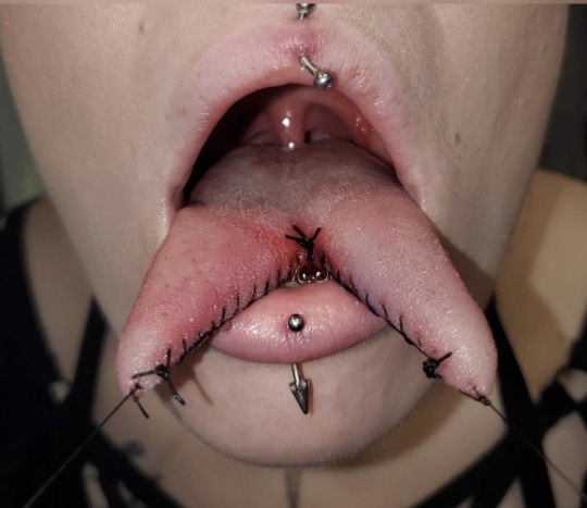 Splitting your tongue