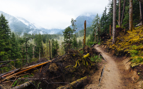 itakephotosofallthethings:Somewhere… I Wanna Go There With YouMiddle Fork Snoqualmie Trail / North B