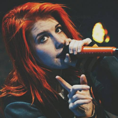 I will do a huge #followback on my tumblr hoyparamore.tumblr.com #hayleywilliams #paramore