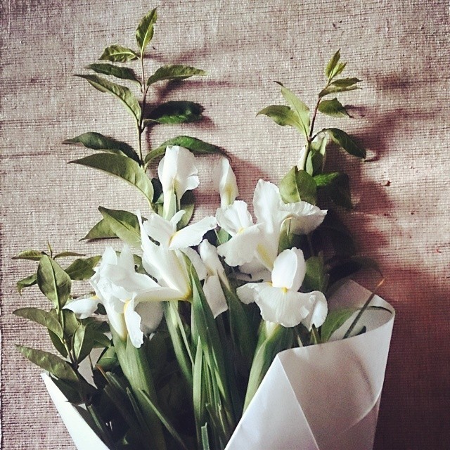 themiscellanista:  #Bouquet du jour !  #placedesternes #fleurs #blanc #paris17 