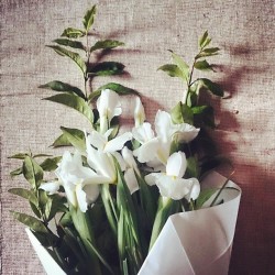 themiscellanista:  #Bouquet du jour !  #placedesternes