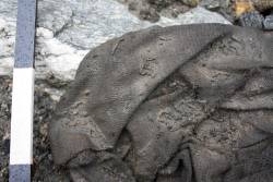 coolartefact:  1700-year-old wool tunic found in melting glacier in south Norway Source: https://imgur.com/NZLMpgK