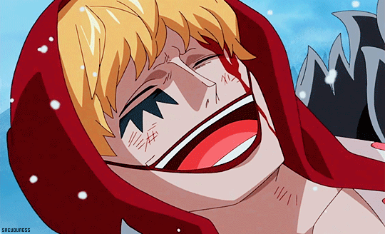Archived 15th Of July Donquixote Rosinante X Reader Summary