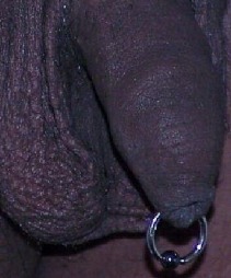 thepiercedpenis:  Here is my submission of my foreskin piercing  Follower submission. Come on, send your pics in, you know you want to. 