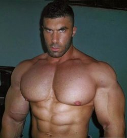 Handsome and awesome pecs - woof