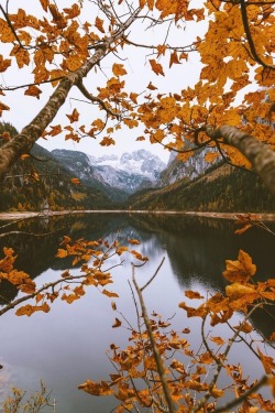 alecsgrg:Nature frame | ( by Ravi Vora )