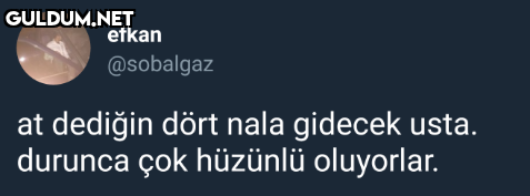 efkan @sobalgaz at dediğin...