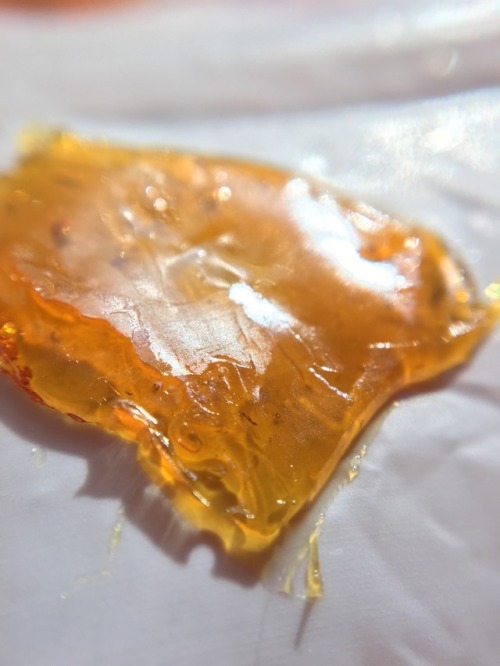 veeveeganja: Blueberry x GDP