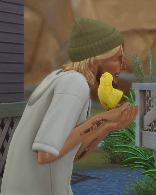 Johnny Hatched His First Chick! He Named Her Pikachu