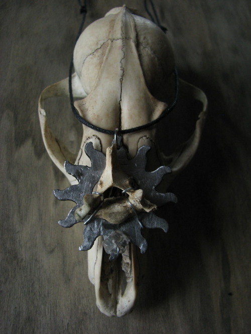 Fox vertebra and deer tooth necklaces