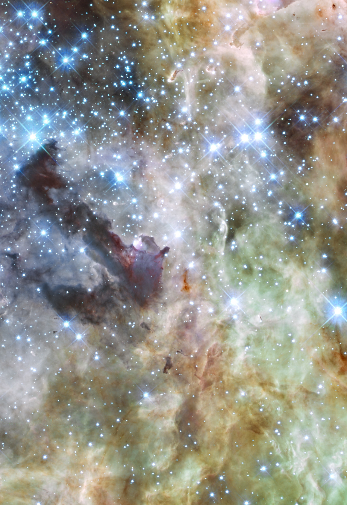 levantineviper:  A section of the Tarantula Nebula in the constellation Dorado Image