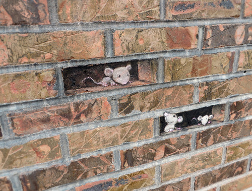 Porn photo asylum-art:  Street Art byDavid Zinn 