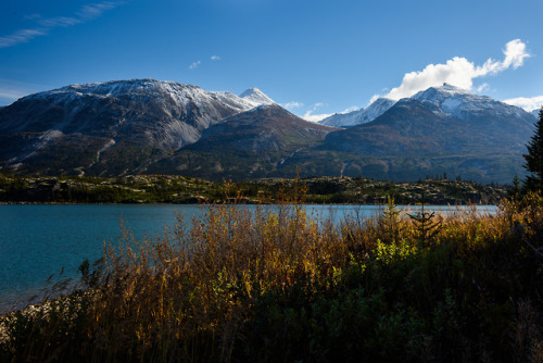 daskibum:Top of White Pass before getting on the railway to take a ride down to Skagway.  Mid-d