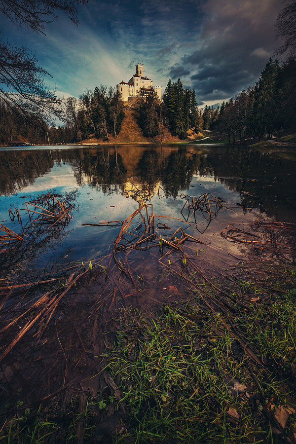 woodendreams:  (by roberto pavic)