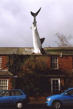 sixpenceee:    The Headington Shark is a rooftop sculpture at 2 New High Street, Headington, Oxford, England, depicting an oversized shark embedded head-first in the roof of a house. (Source)