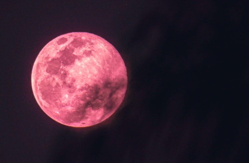  Were you able to see the Strawberry Moon on Friday? This Full Moon was named by the Native American