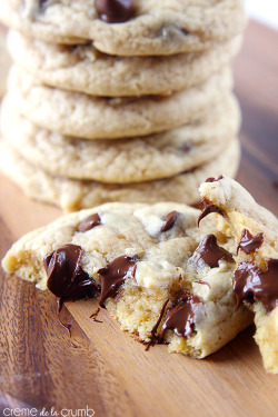 do-not-touch-my-food:  Chocolate Chip Cookies 