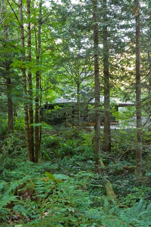 architags: Olson Kundig Architects. Tye River Cabin. Skykomish, WA, USA. photos: Tim Bies (1,2,3,4,7) John Granen (5,6) - What a great place ! architags.com - instagram  