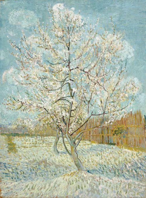 formalineme7:  by Vincent van Gogh - The Pink Peach Tree (1888) 