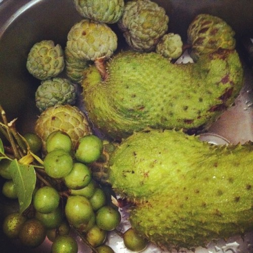 #pommecannelle #corossol #quénettes #martinique #fruits #green (à Marigot, Martinique)