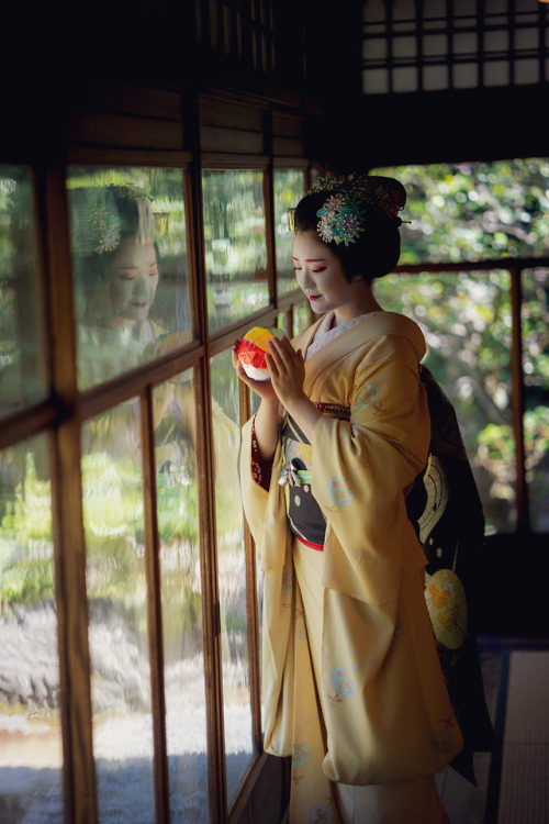 gaaplite: 2018 舞妓 祇園東 雛佑さん 2018 maiko, gion higashi, Hinayuu 