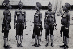 ukpuru:  ukpuru:  IN GALA DRESS These [Igbo] girls are passing through the ceremony of Nkpu [marriage ceremony]. They are wearing belts of tiny bells, and their legs are adorned with brass wire spirals, of which they are inordinately proud.  George Basden